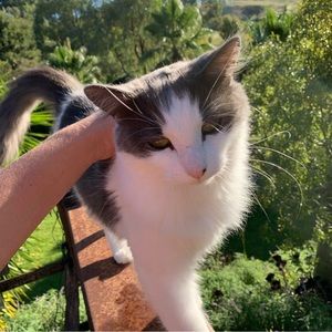 Meet your Posher, Hazel